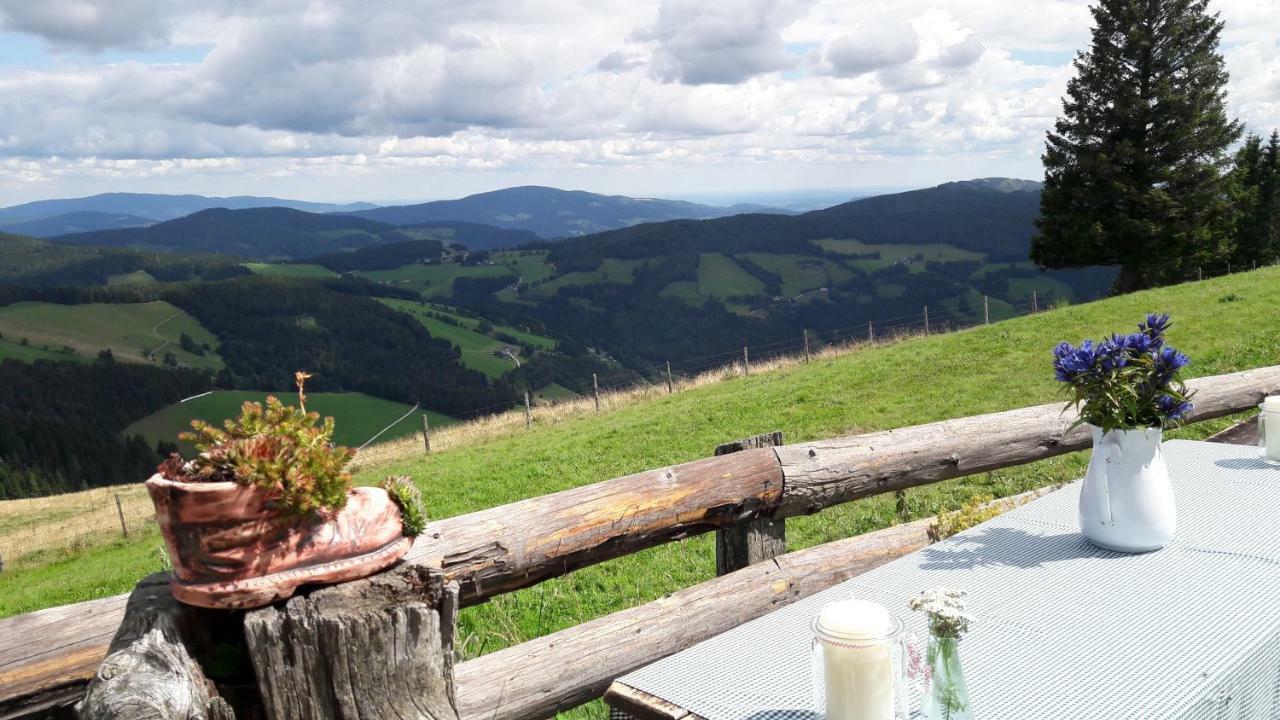 Gartenwohnung Auf Der Sommeralm Sankt Kathrein am Offenegg Buitenkant foto